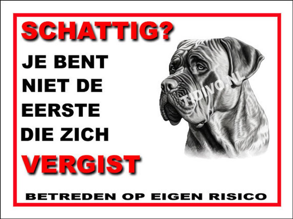 Boerboel 14
