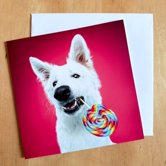 Studio Snuit - Luxe wenskaart met hond Guy