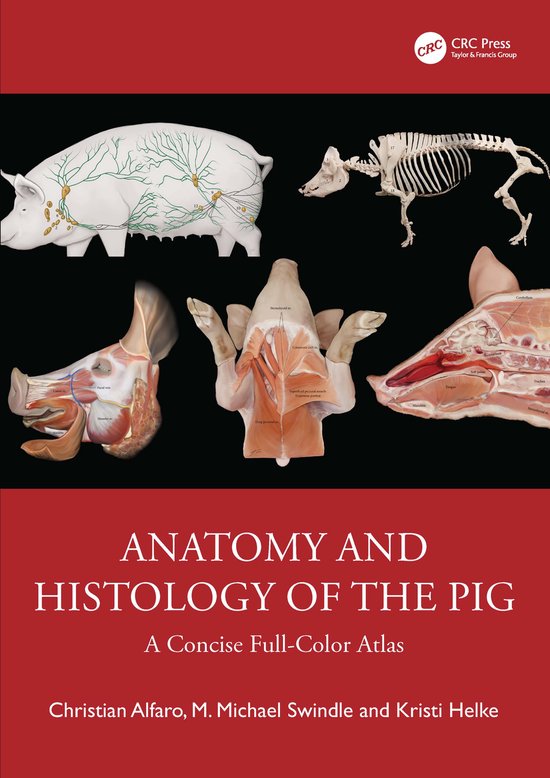 Anatomy and Histology of the Pig - cover