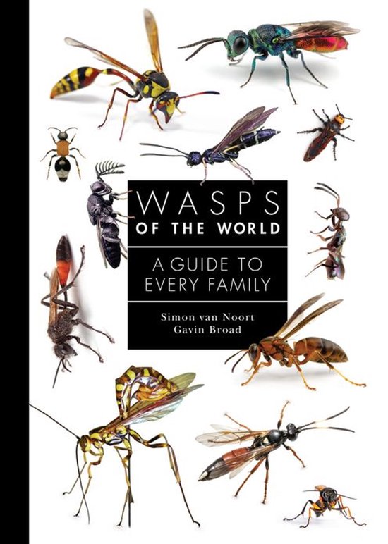A Guide to Every Family - Wasps of the World - cover