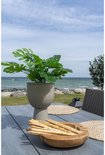 Houten tafel met groene plant, houten fruitschaal met broodstengels.