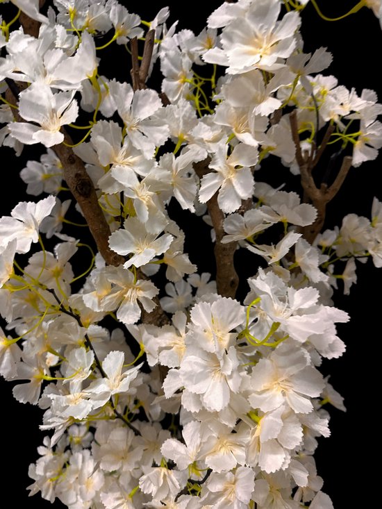 Seta Fiori - Arbre à fleurs artificielles - Arbre artificiel - crème - 110cm - Pour l'intérieur - Fleur moelleuse