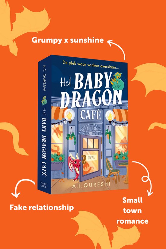 Het Baby Dragon Café