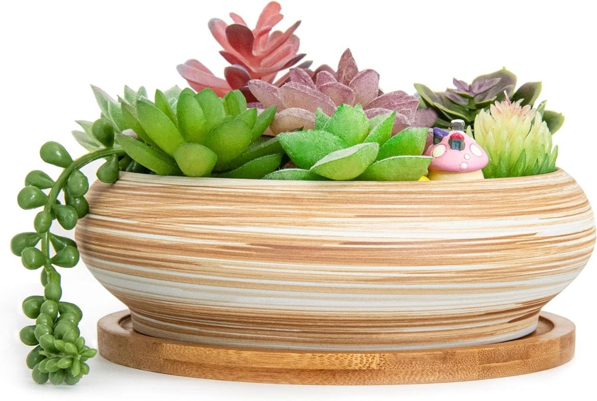 Succulents Pots - 18.5cm Large Bonsai Pot with Drainage Tray Shallow Succulents for Indoor Plants Decorative Flower Cactus Planter by ARTKETTY