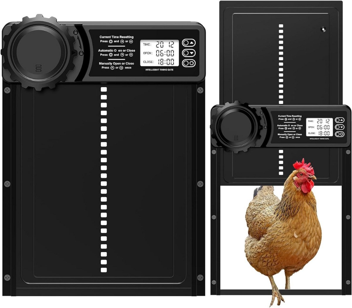 CLGP® Kippenluik Automatisch - Chickenguard - Kippendeur - Zwart