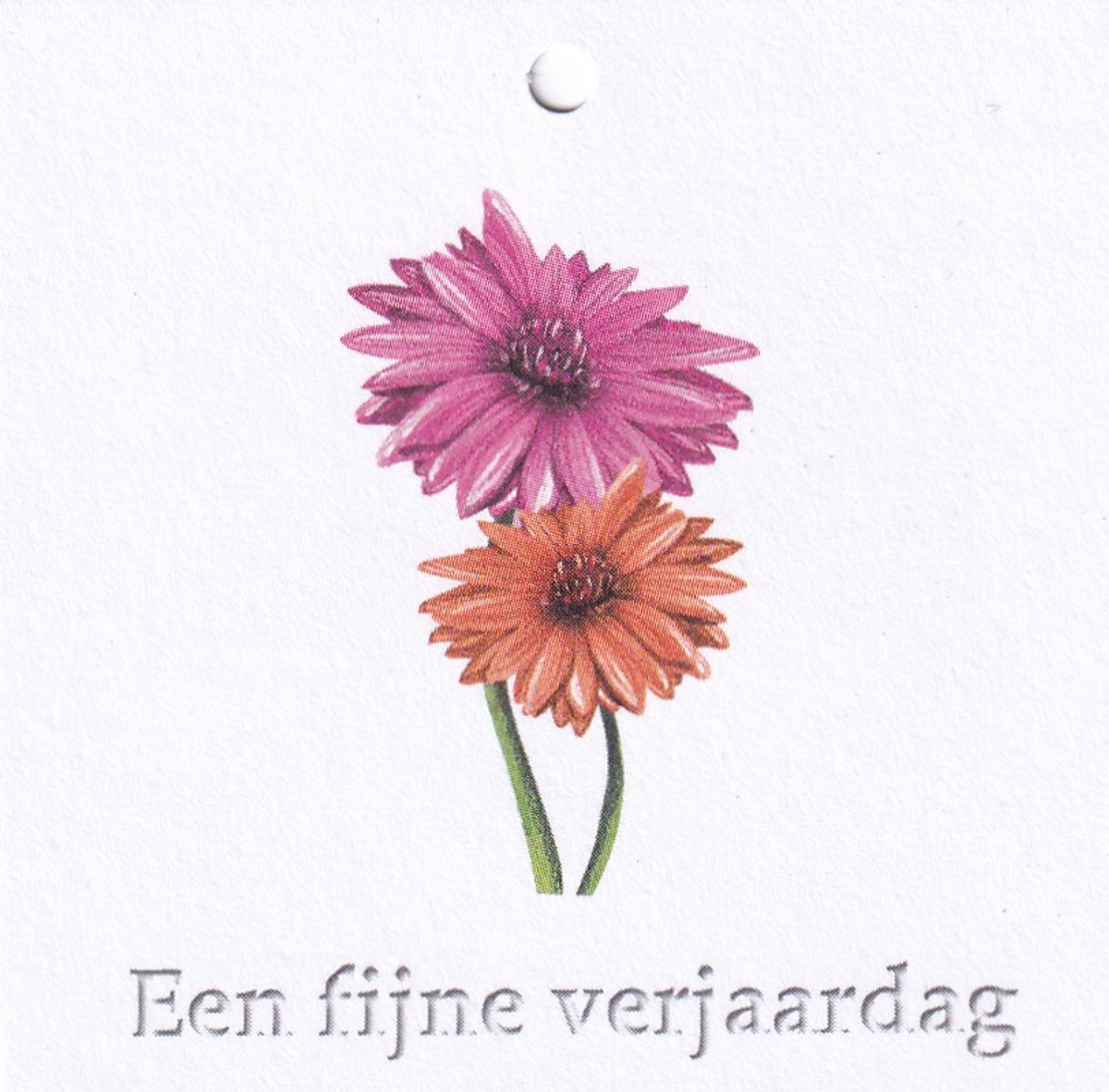 Bloemenkaartjes - 25 Stuks - Mini Kaartjes - 7 x 7 cm - Bloemist - Kadootjes - Een fijne verjaardag - JK-160