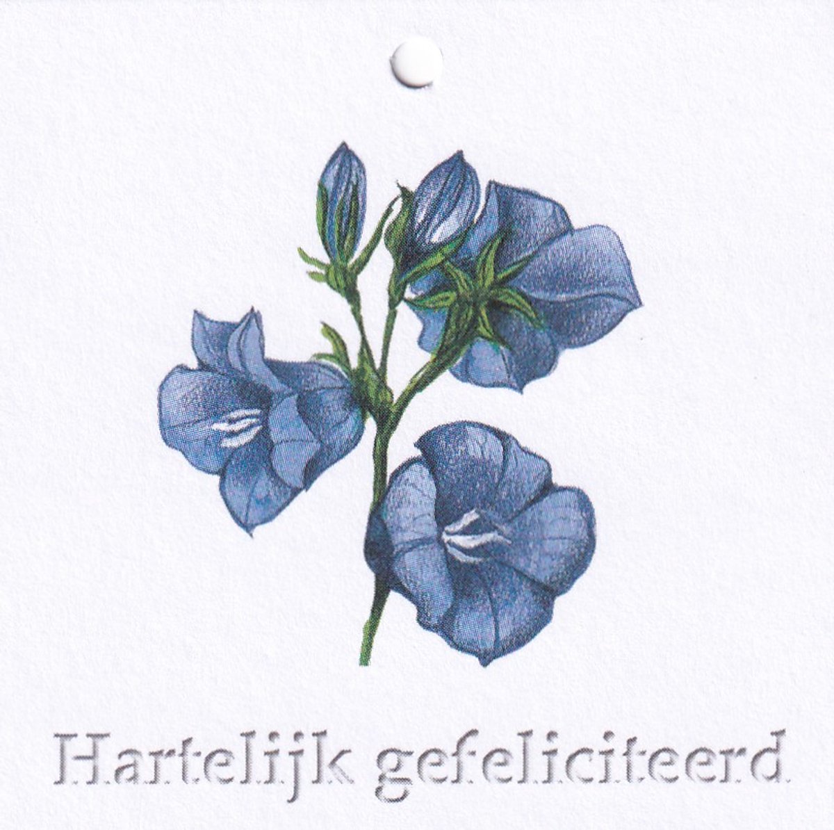 Bloemenkaartjes - 25 Stuks - Mini Kaartjes - 7 x 7 cm - Bloemist - Kadootjes - Hartelijk gefeliciteerd - JK-156