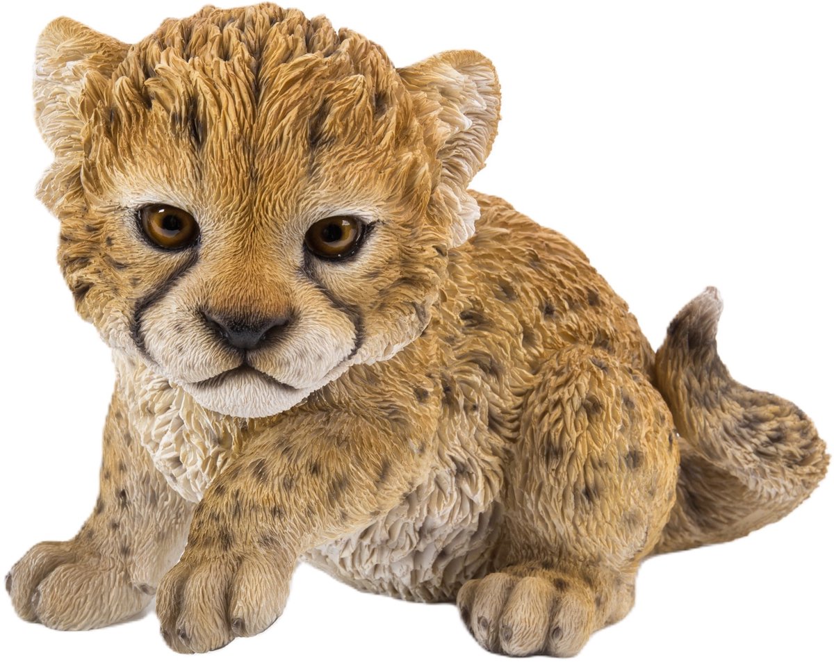 HotAnt Tuinbeeld dieren - Zittende Cheetah (Polystone) - Voor buiten - Tuin decoratie - Cadeau
