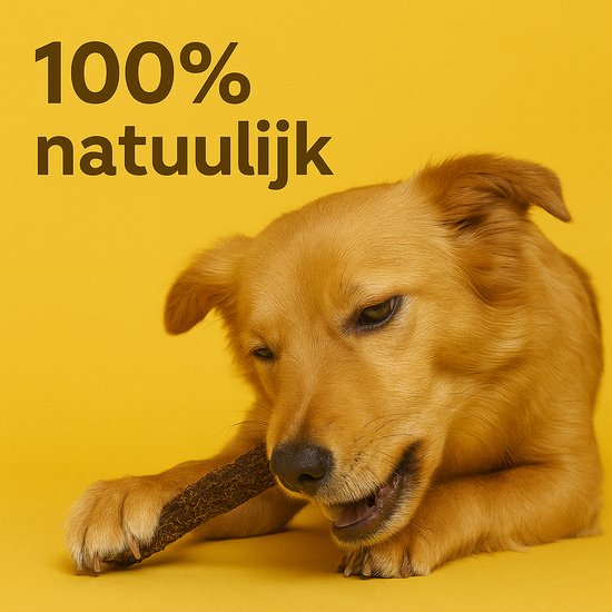 Een bruine hond kauwt op een 100% natuurlijke gedroogde runderpens snack.