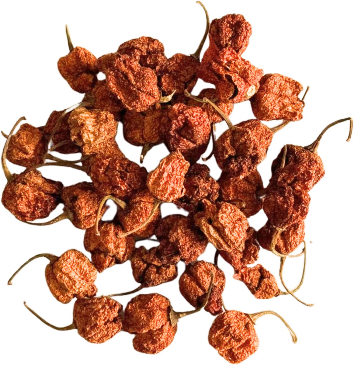 50g - Carolina Reaper Chili – SHU 2000000 | heel