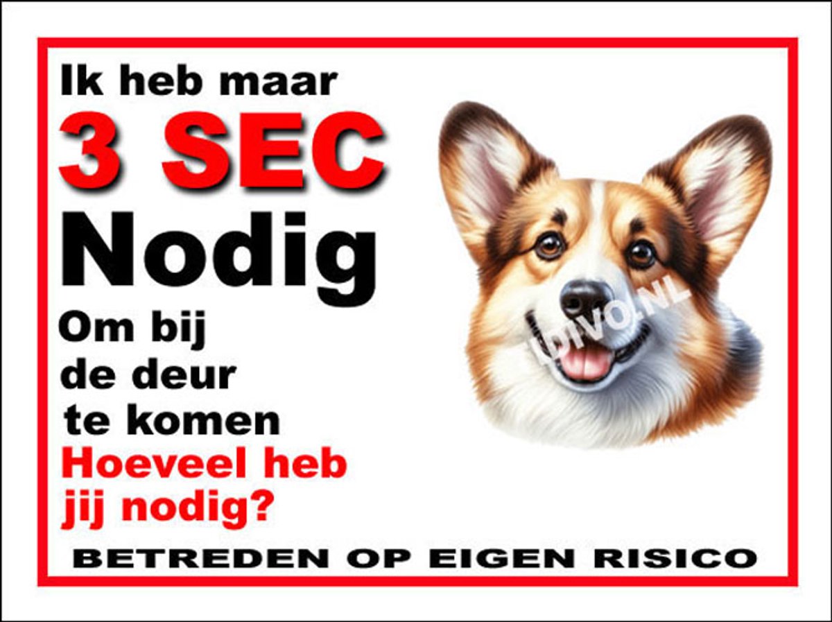 Welsh Corgi 6