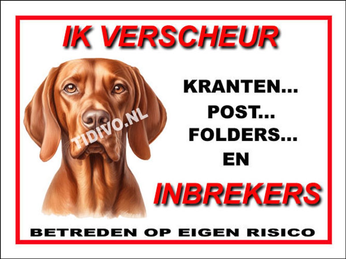 Vizsla 8