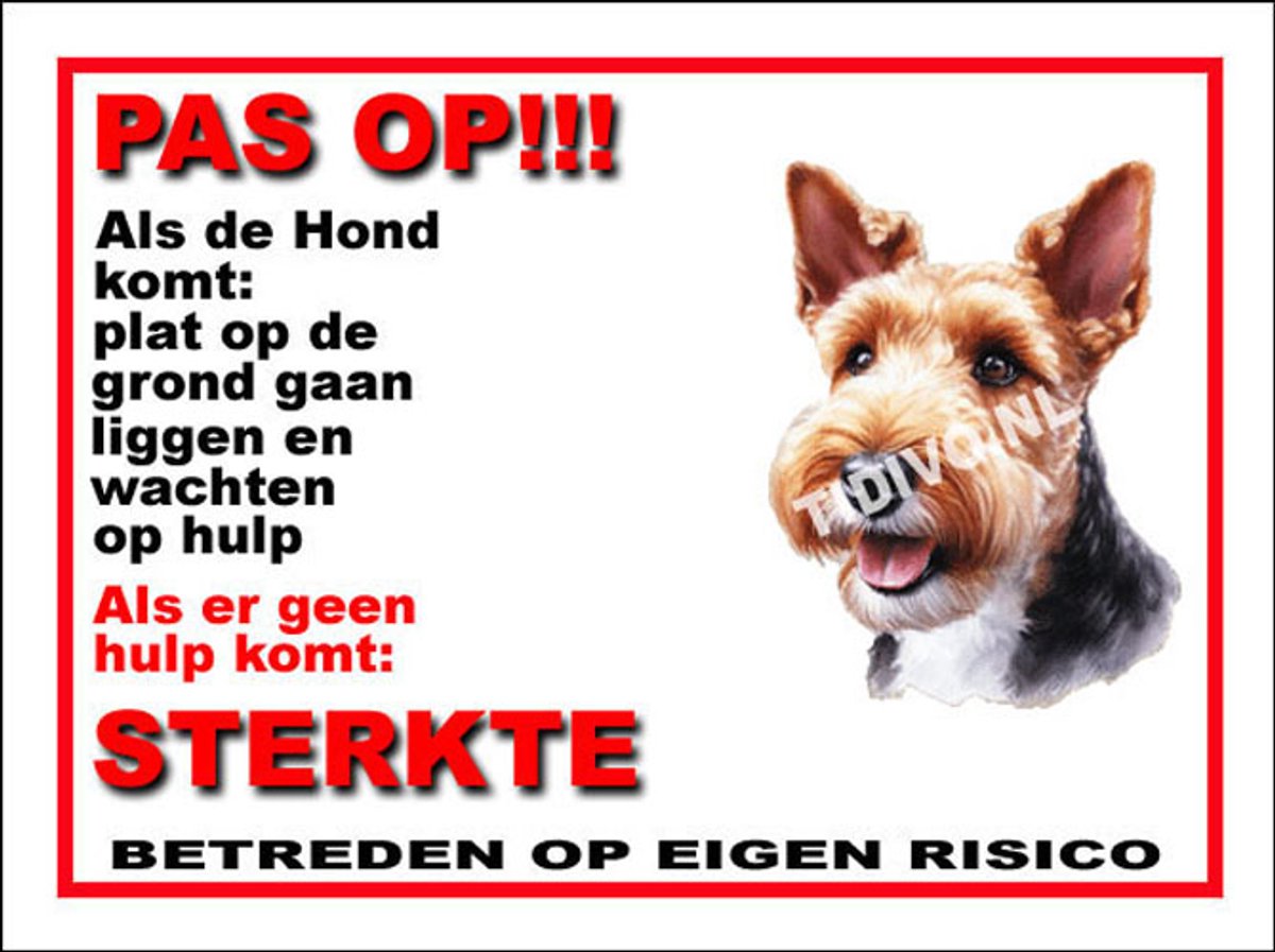 Welsh Terrier 12