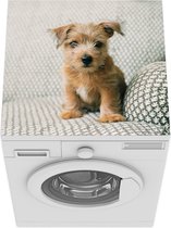 Wasmachine beschermer mat - Een puppy zit op de bank - Breedte 60 cm x hoogte 60 cm