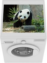 Wasmachine beschermer mat - Panda - Boomstam - Grot - Breedte 55 cm x hoogte 45 cm