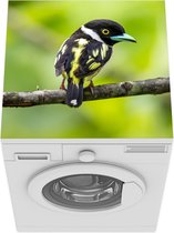 Wasmachine beschermer mat - Vogel - Tak - Bos - Breedte 60 cm x hoogte 60 cm