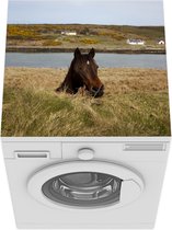 Wasmachine beschermer mat - Paard - Gras - Water - Breedte 60 cm x hoogte 60 cm