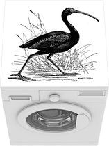 Wasmachine beschermer mat - Illustratie van een zwarte ibis in het gras - Breedte 60 cm x hoogte 60 cm