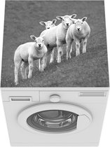 Wasmachine beschermer mat - Een groep lammetjes staat op een helling - zwart wit - Breedte 60 cm x hoogte 60 cm