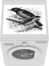 Wasmachine beschermer mat - Merel - Illustratie - Antiek - Breedte 55 cm x hoogte 45 cm