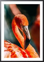 Poster Met Zwarte Lijst - Flamingo Poster