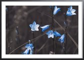 Poster Met Zwarte Lijst - Blauwe Bellen Bloemen Poster