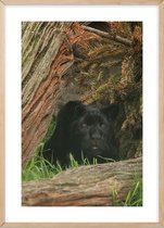 Poster Met Eiken Lijst - Black Panther Poster