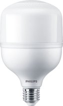 PHILIPS TrueForce Core MULTIPACK 2x LED T165 (verwangt HID) - 30W E27 Koel Wit 4000K