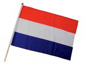 Zwaaivlag Nederland van stof