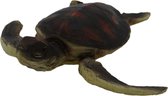 Beeld schildpad - 19x18x6 cm - Decoratief beeld schildpad - Schildpadden beeld - Dieren beeld