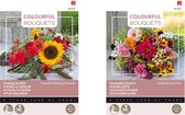 Cactula set van 2 zakjes bloemenzaden | Zomerbloemen & Plukbloemen