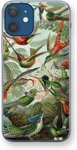Case Company® - iPhone 12 hoesje - Haeckel Trochilidae - Soft Cover Telefoonhoesje - Bescherming aan alle Kanten en Schermrand