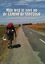 Mijn weg te voet op de Camino de Santiago