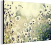 Wanddecoratie Metaal - Aluminium Schilderij Industrieel - Bloemen - Veld - Wit - 180x120 cm - Dibond - Foto op aluminium - Industriële muurdecoratie - Voor de woonkamer/slaapkamer