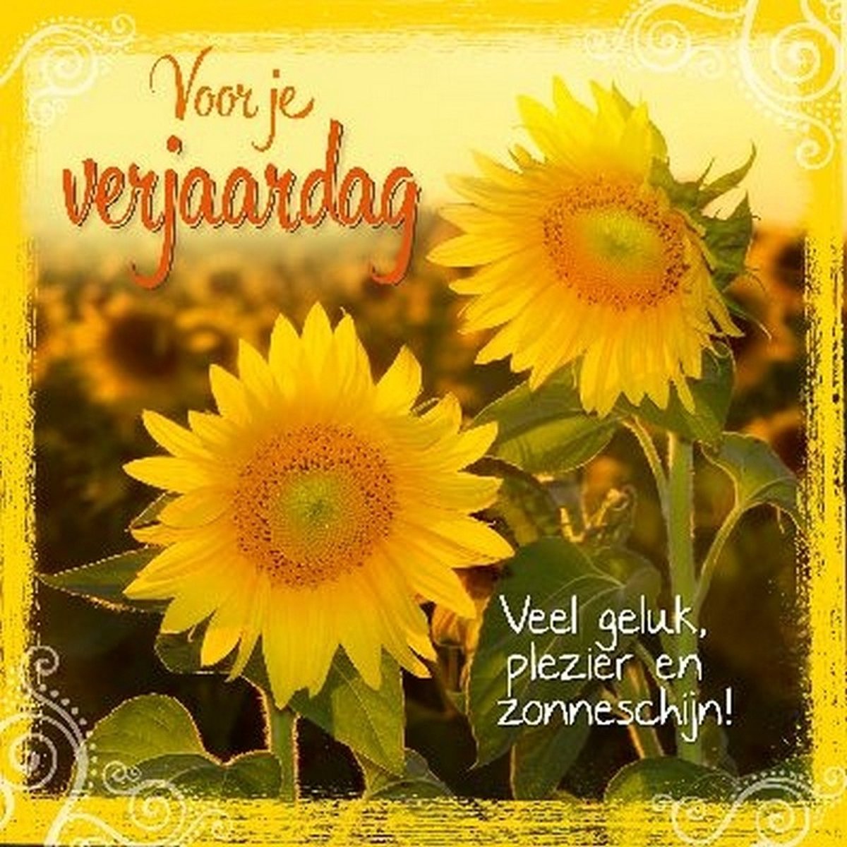 Janneke Brinkman | Verjaardagskaart | Zonnebloem Janneke Brinkman | Verjaardagskaart | Zonnebloem