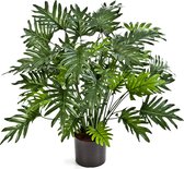 Philodendron Xanadu Bush - kunstplant