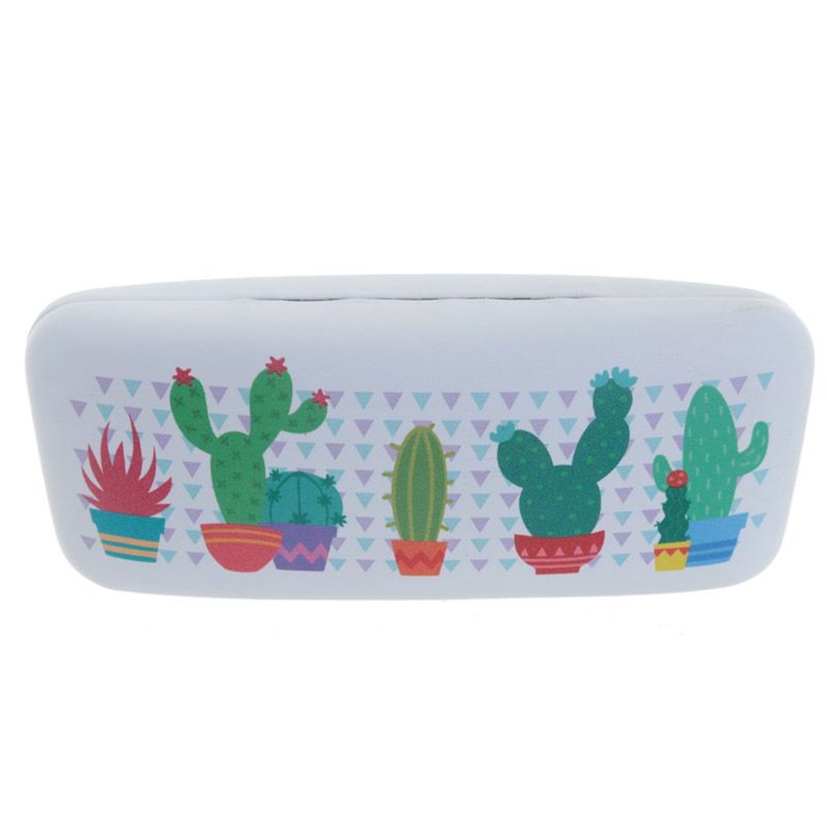 Brillenkoker cactus 2