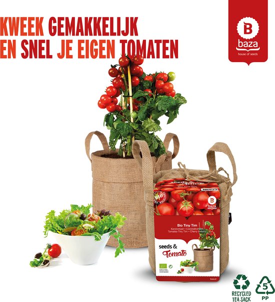 Zelfkweekset BIO tomaat 'Tiny Tim'