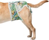 Loopsheidbroekje hond - Tropical - Maat S - Herbruikbaar - Hondenluier - Wasbaar