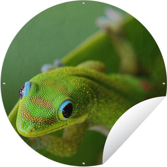 30 feedbackmagneten in een set (diameter 2 cm): 10 vrolijke groene, 10 neutrale gele