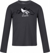 longsleeve Wenbie II jongens katoen grijs maat 176