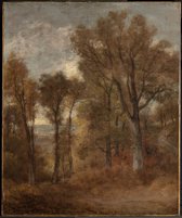 Kunst: John Constable, Woodland Scene Overlooking Dedham Vale, c.1802–3, Schilderij op canvas, formaat is 100X150 CM
