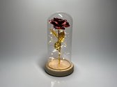 Gouden roos in glazen stolp met LED - Beauty and the Beast roos - Valentijnsdag - Trouw & Liefde Cadeau - Cadeau voor haar - Moederdag cadeautje - Huwelijkscadeau