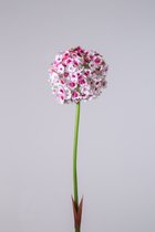 Kunstbloem Allium - topkwaliteit decoratie - Wit - zijden tak - 82 cm hoog