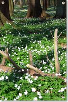Tuinposter Bosanemoontjes | 40 x 60 cm | Wanddecoratie Buiten | Tuin Schilderij