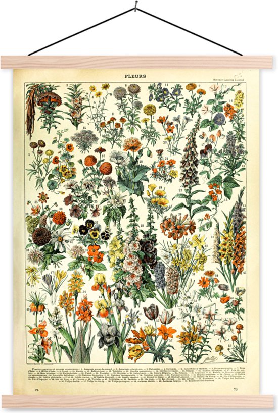 Posterhanger incl. Poster - Schoolplaat - Bloemen - Planten - Vintage - Adolphe Millot - Kunst - 90x120 cm - Blanke latten