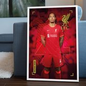 Liverpool FC Virgil Van Dijk Poster 61x91.5cm