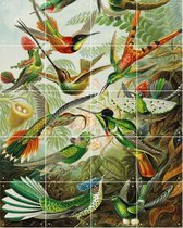 IXXI Hummingbirds - Wanddecoratie - 100 x 80 cm