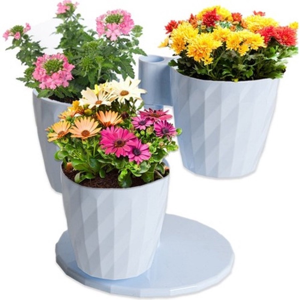 3in1 bloempotten en kruidenpotten wit draaibaar cactuspotten met drainage