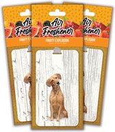 Luchtverfrisser: labrador blond - 3 STUKS - Luxe Geurhanger Auto - Gemaakt van hout